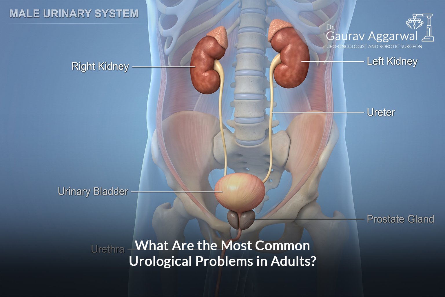 urologist in Kolkata